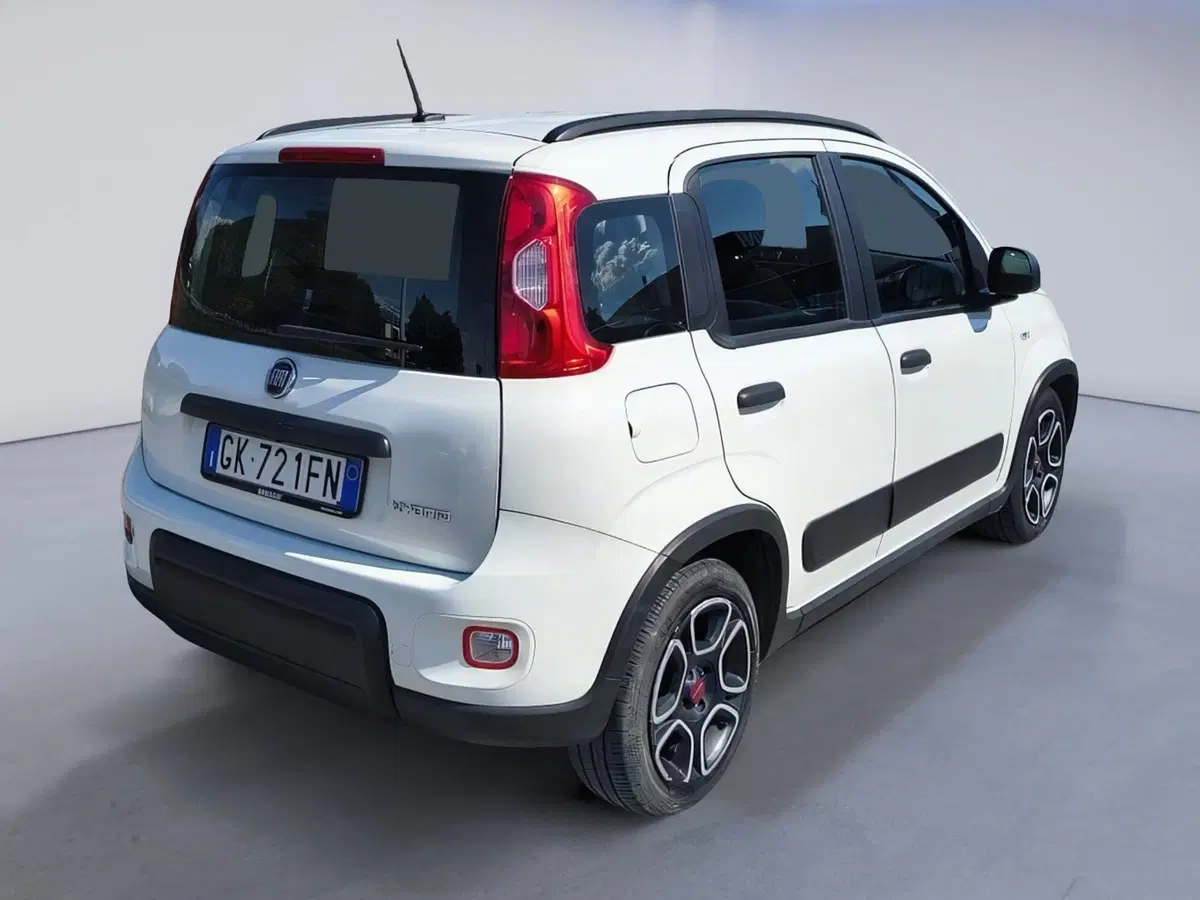 Fiat Panda Cross usata a Padova (5)