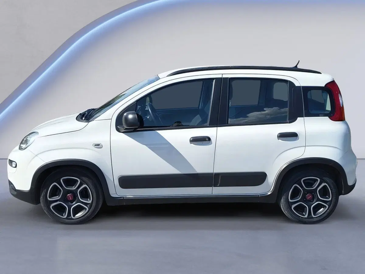 Fiat Panda Cross usata a Padova (8)