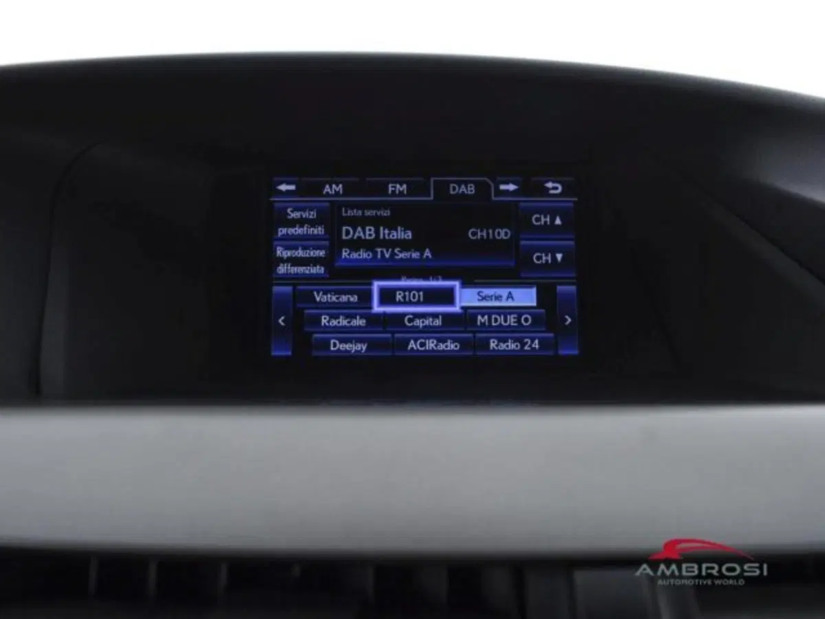 Lexus RX usata a Perugia (14)