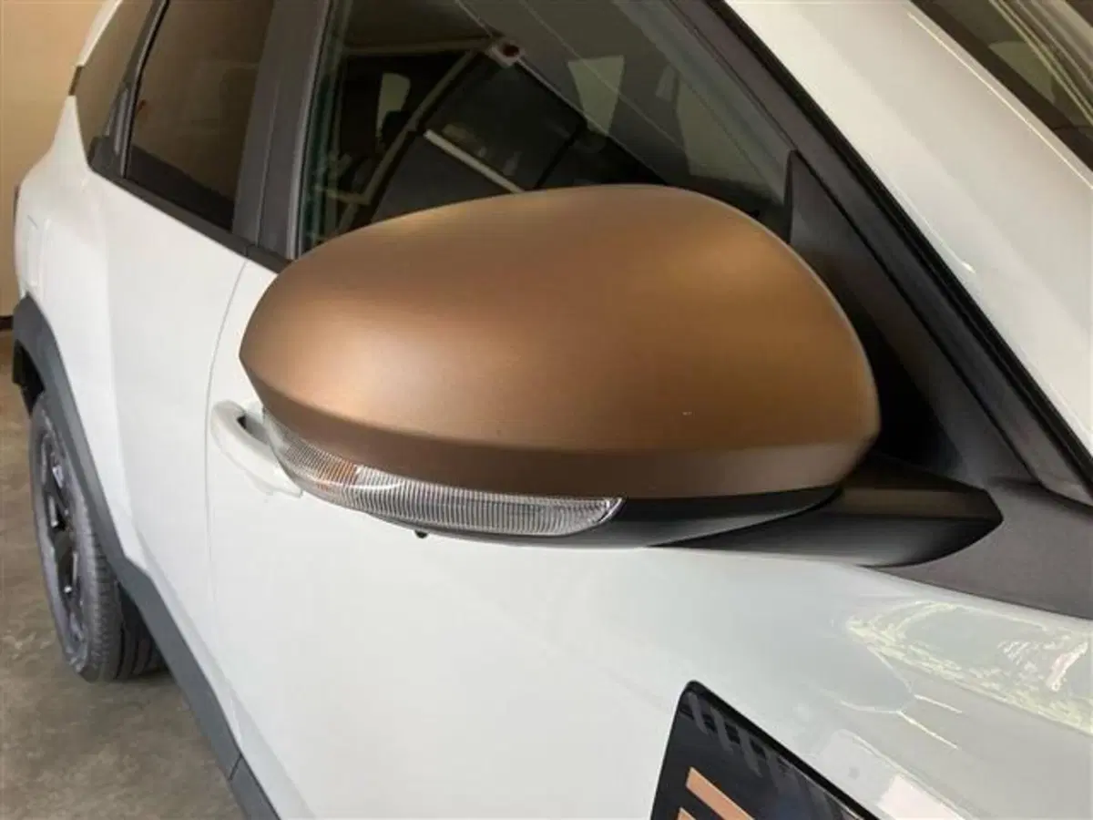 Dacia Bigster usata a Como (17)