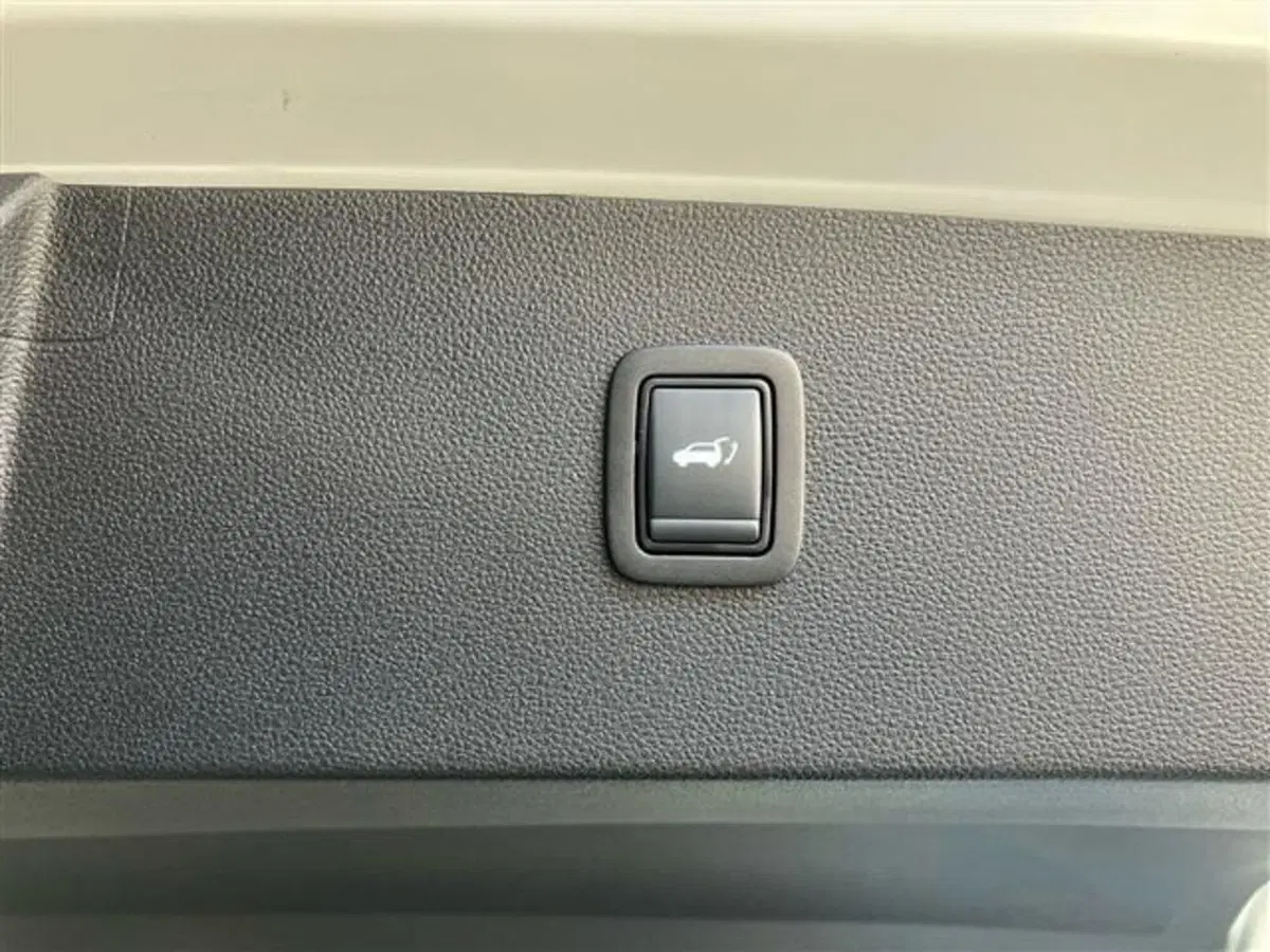 Dacia Bigster usata a Como (18)