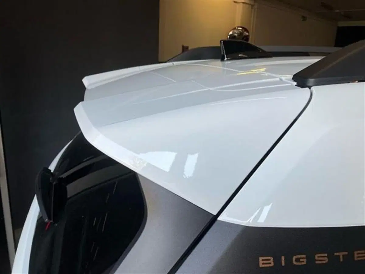 Dacia Bigster usata a Como (19)