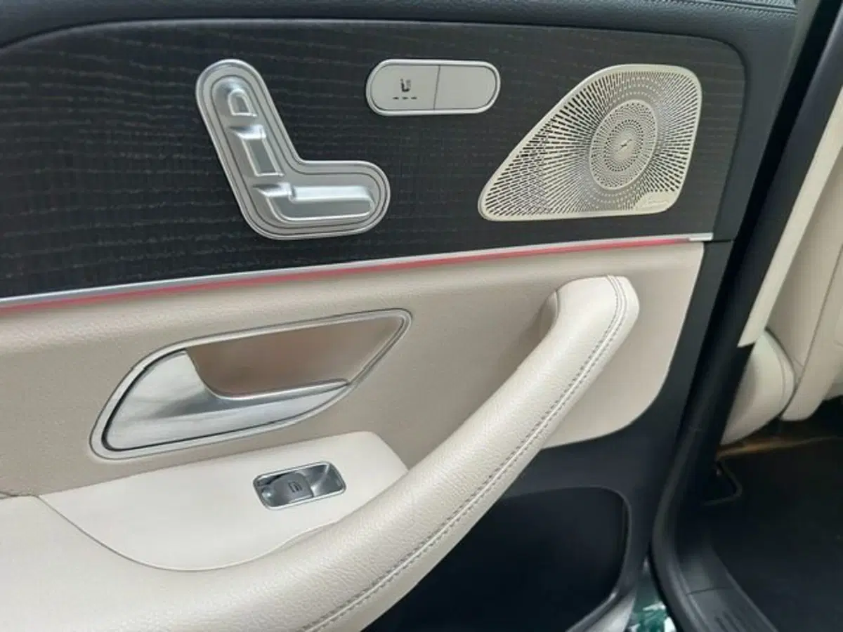 Mercedes-Benz GLS SUV usata a Potenza (19)