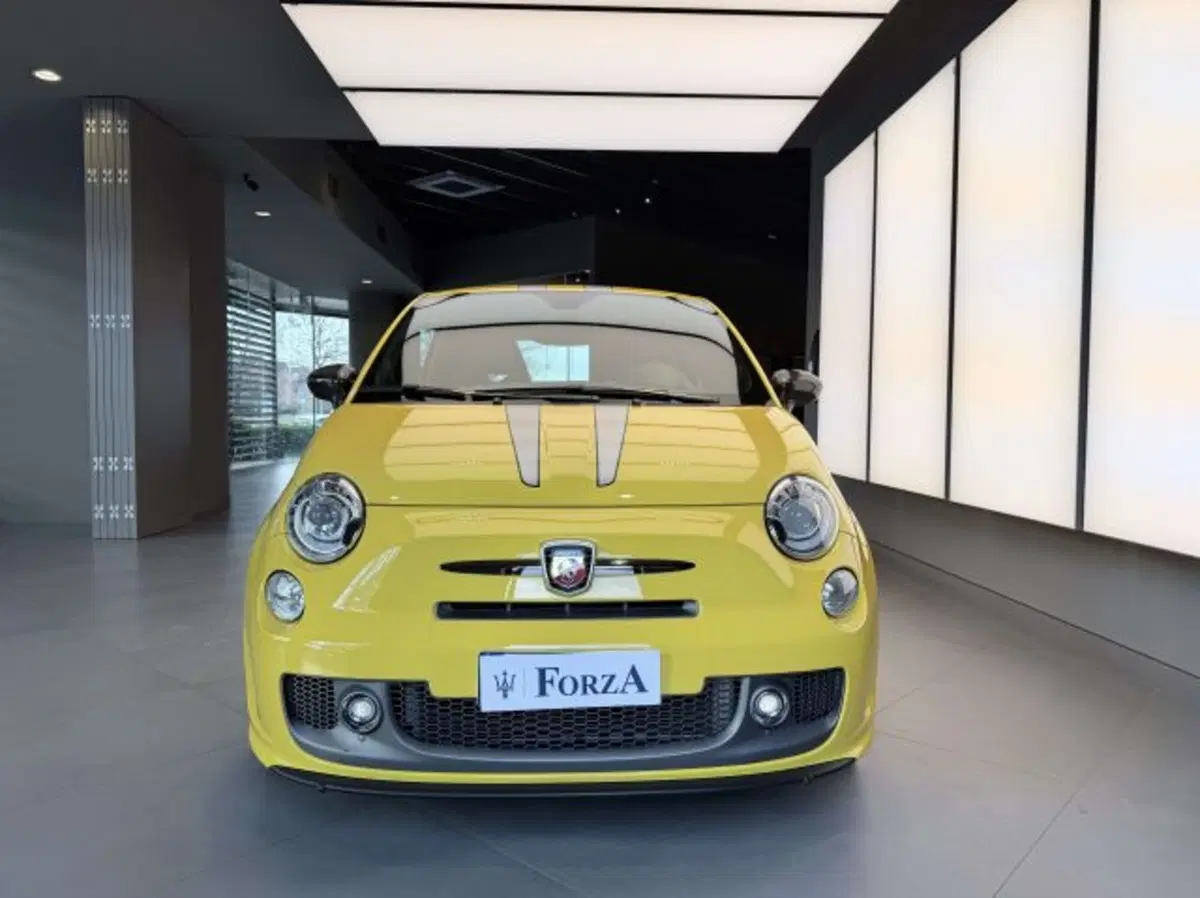 Abarth 695 usata a Torino (2)