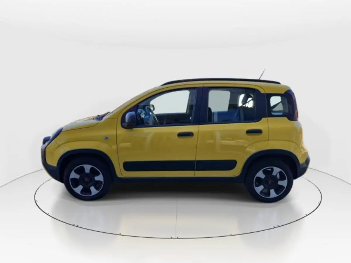 Fiat Panda Cross usata a Modena (13)