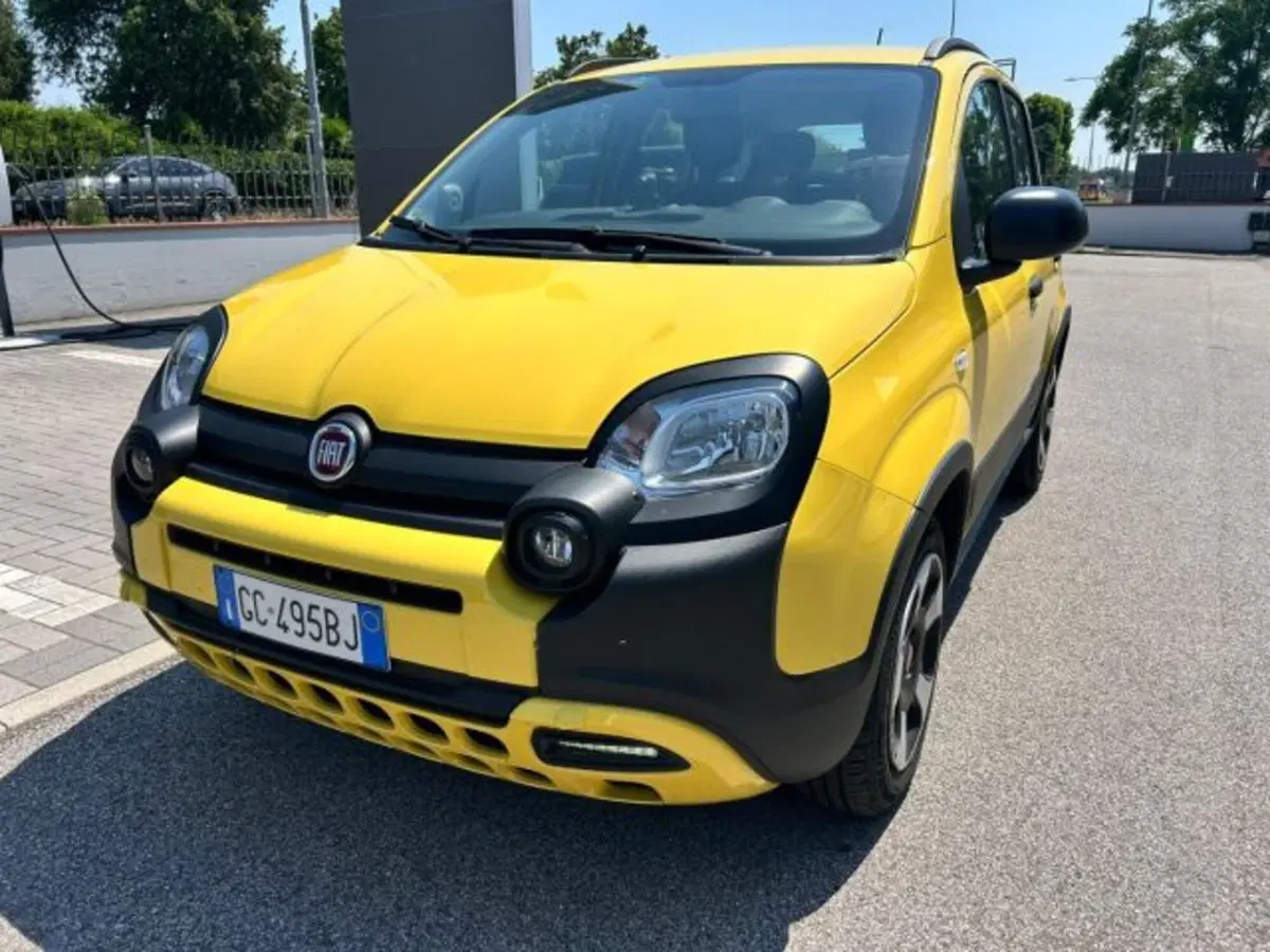 Fiat Panda Cross usata a Modena (15)