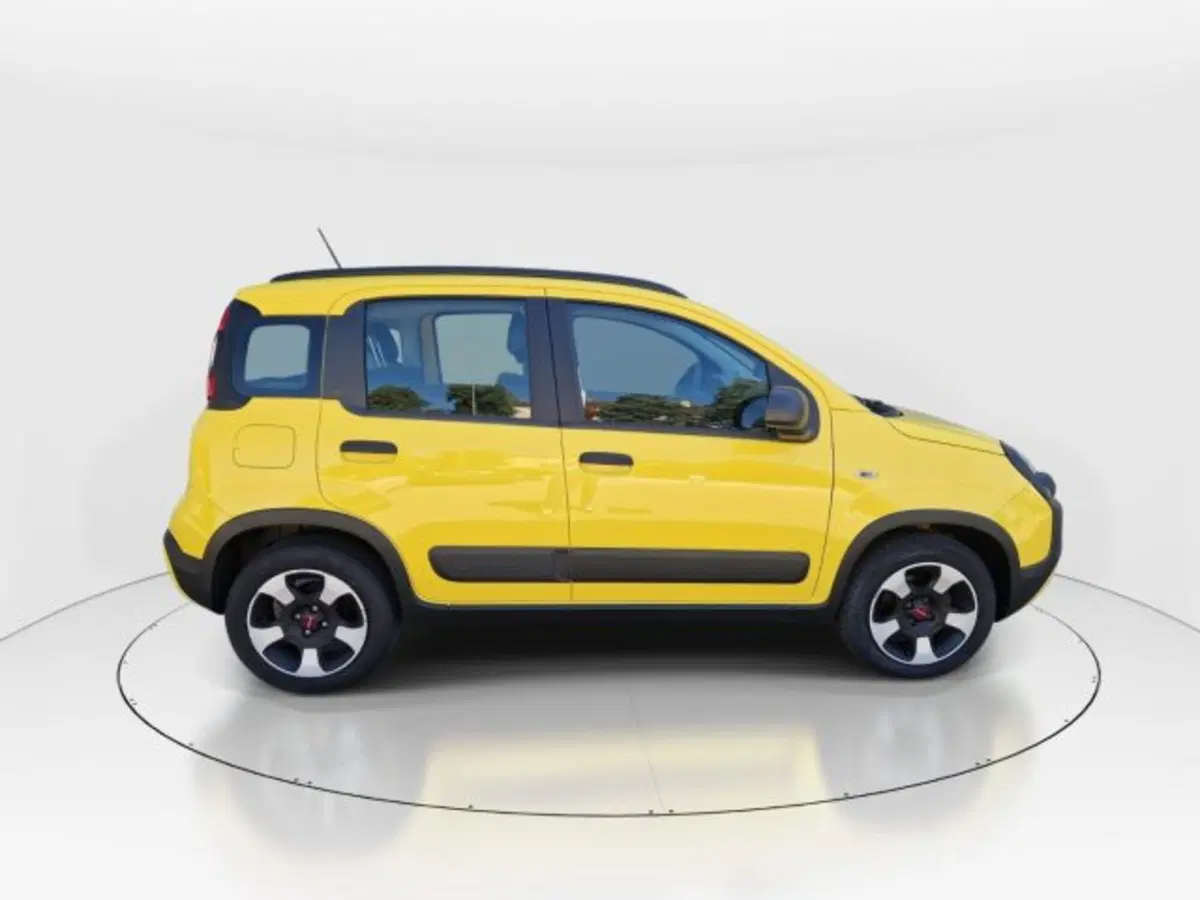 Fiat Panda Cross usata a Modena (8)