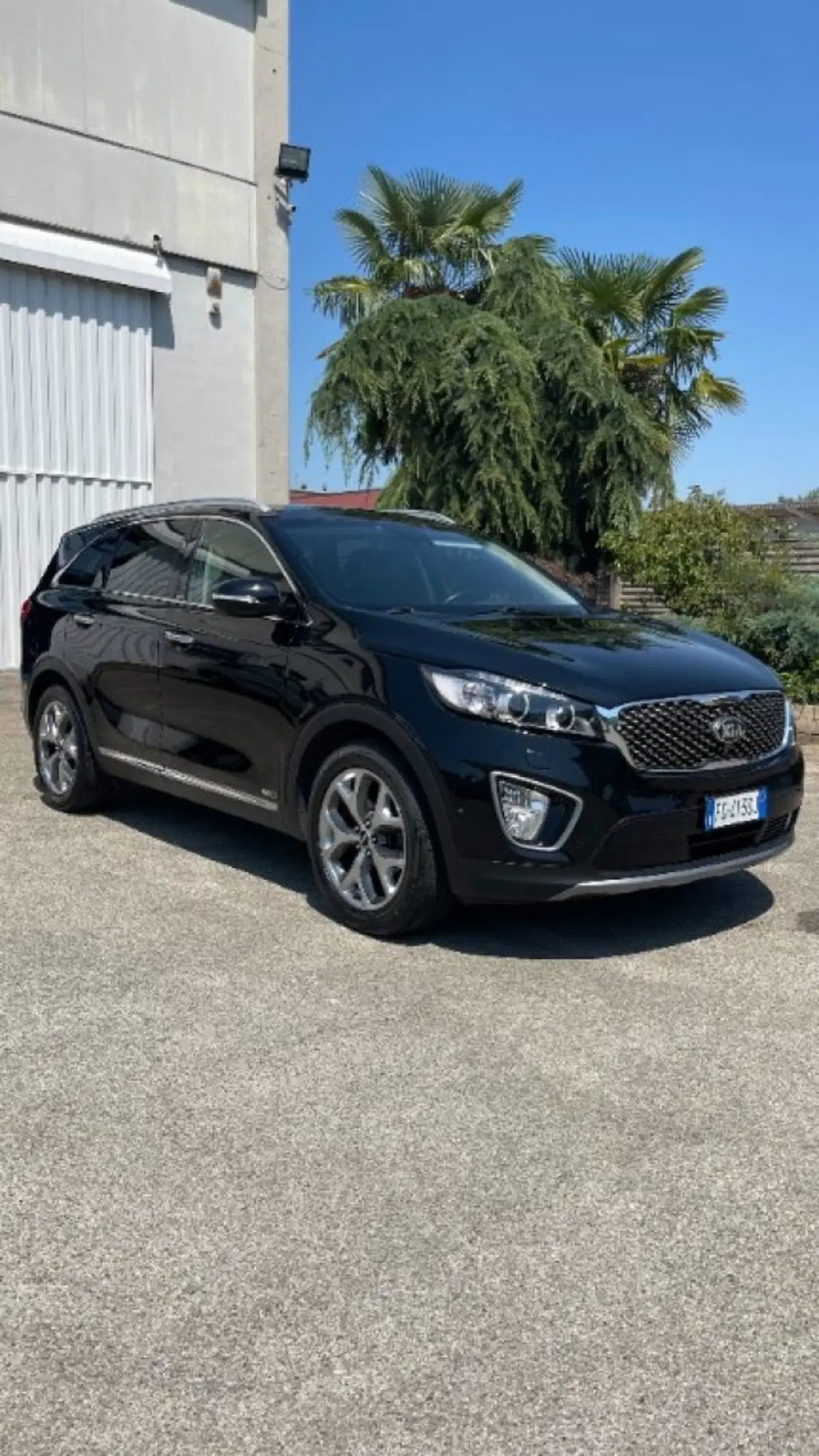 Kia Sorento usata a Novara (3)