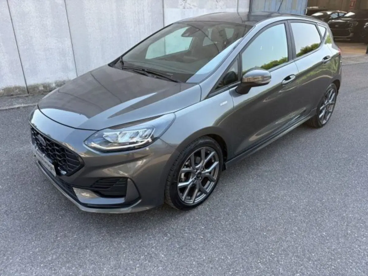 Ford Fiesta usata a Lodi
