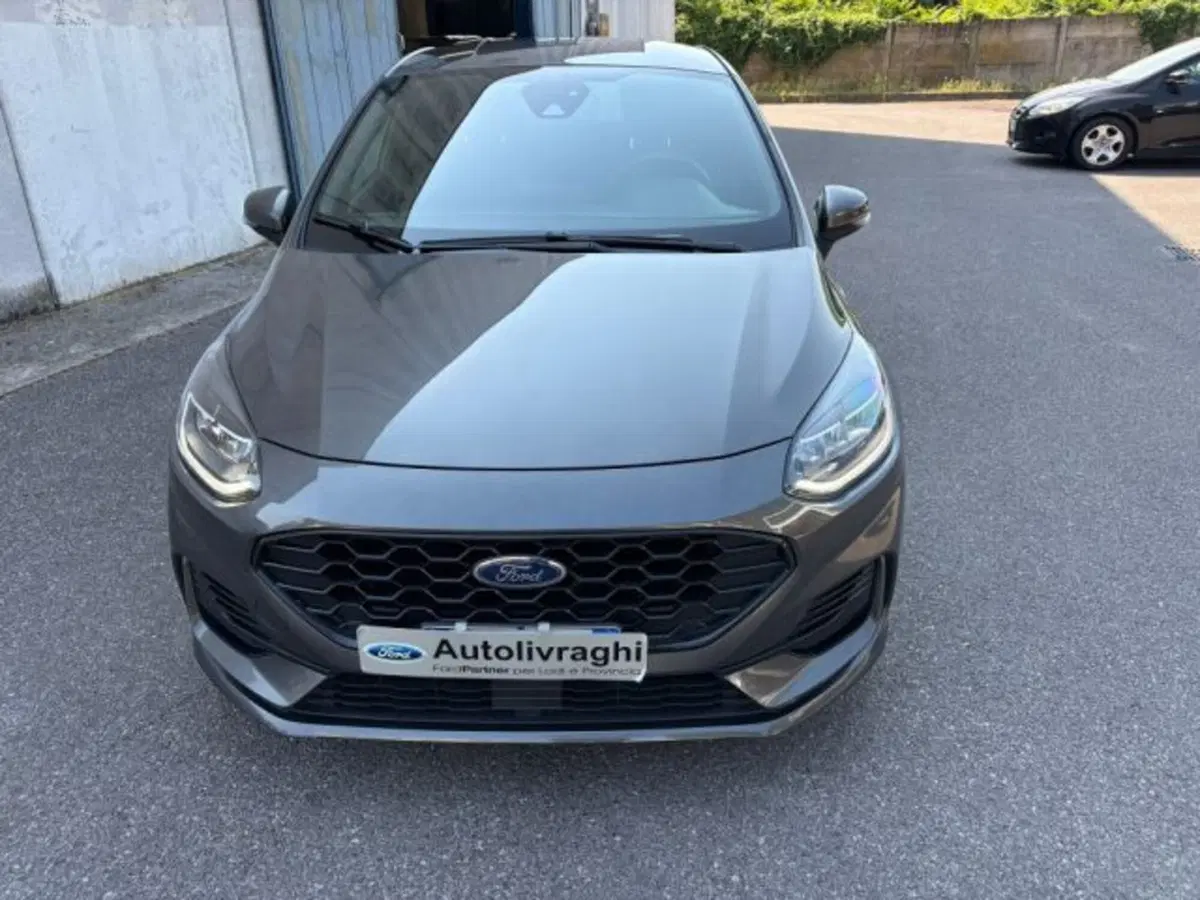 Ford Fiesta usata a Lodi (2)