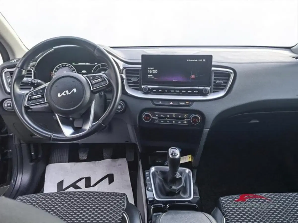 Kia XCeed usata a Perugia (15)