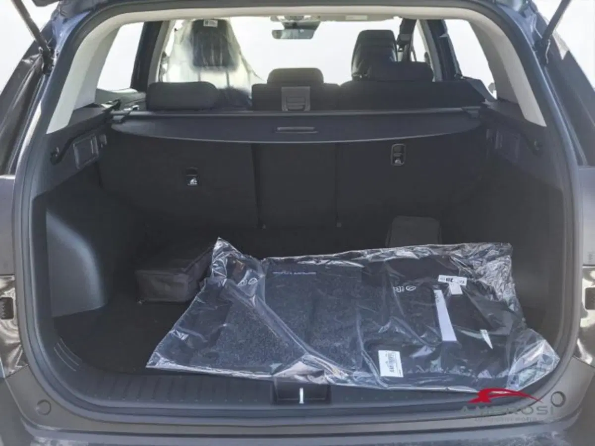 Kia Sportage nuova a Perugia (9)