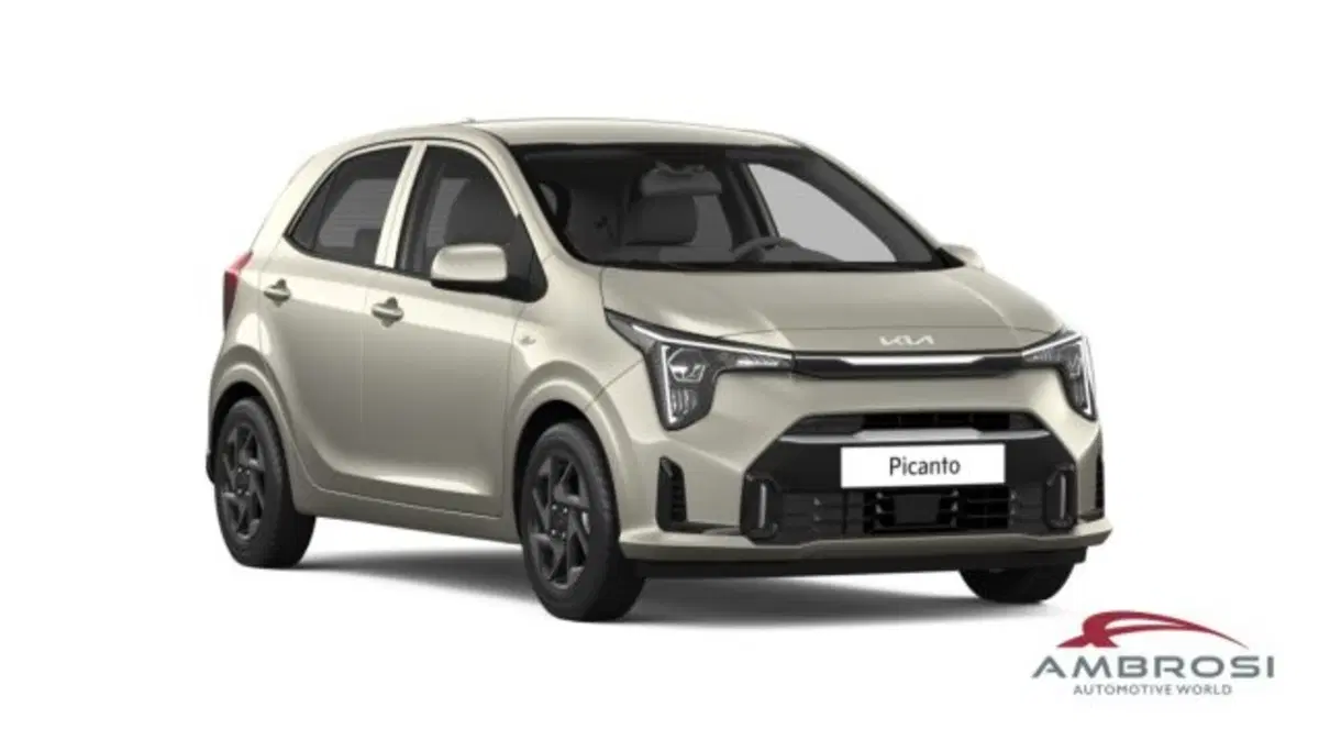 Kia Picanto nuova a Perugia (7)