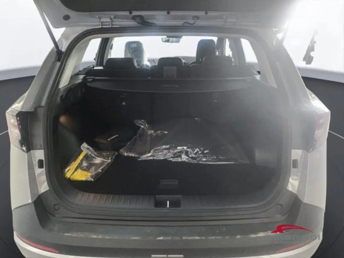 Kia Sportage nuova a Perugia (9)