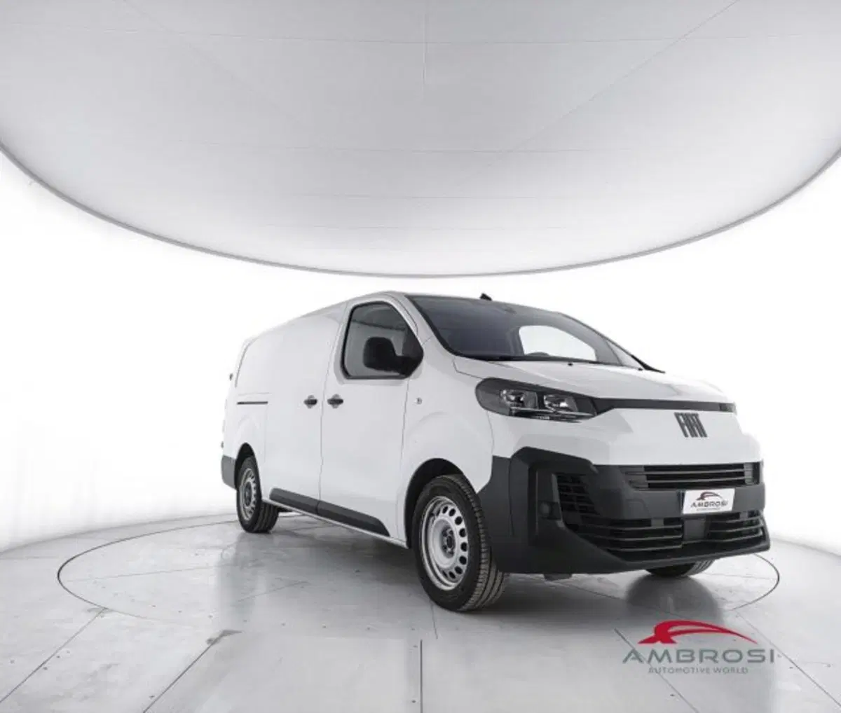 Fiat Scudo Furgone usata a Perugia (2)