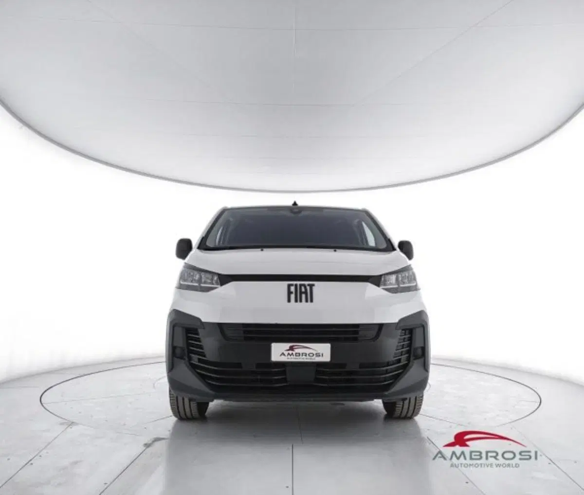 Fiat Scudo Furgone usata a Perugia (5)
