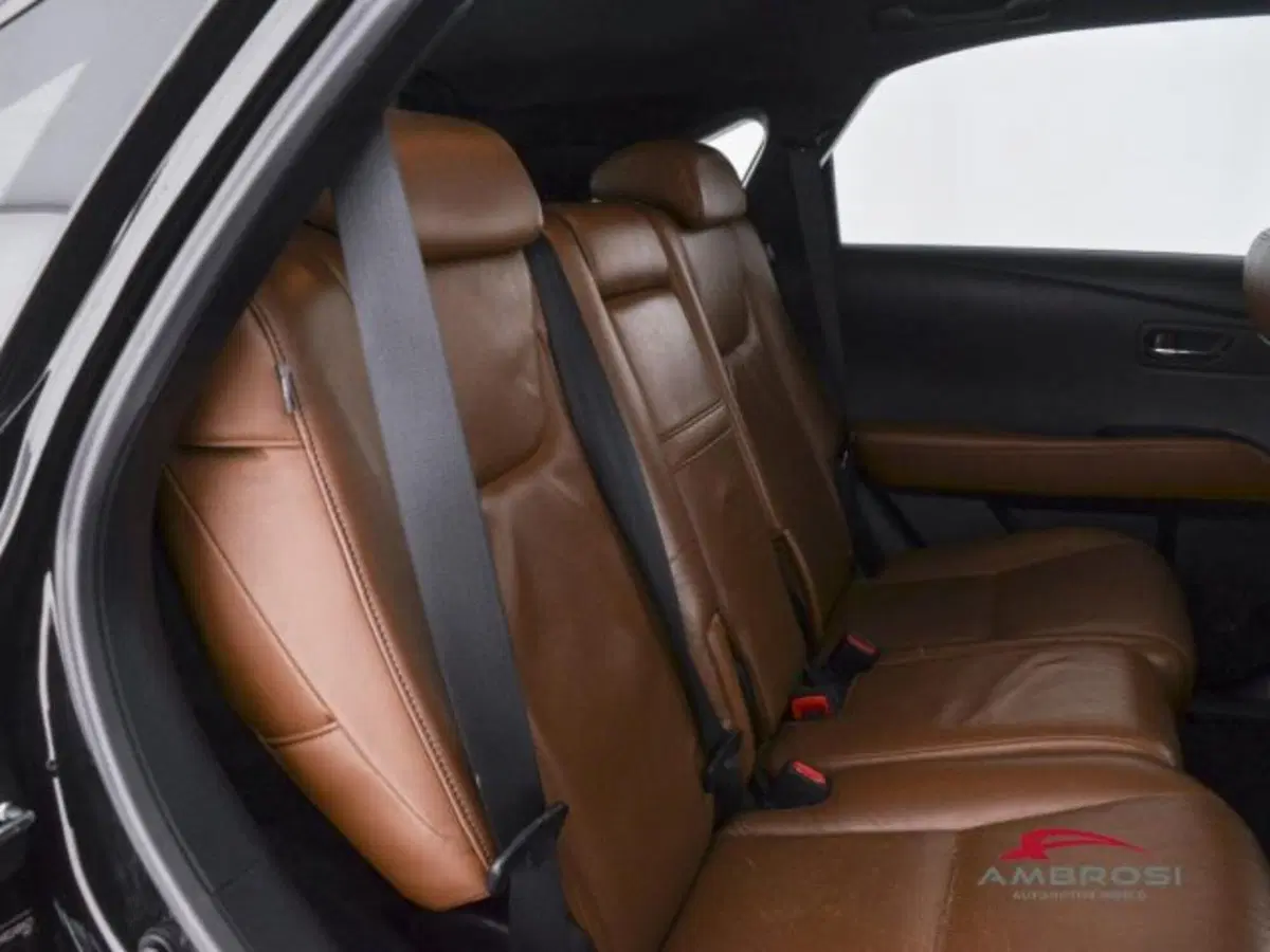 Lexus RX usata a Perugia (11)