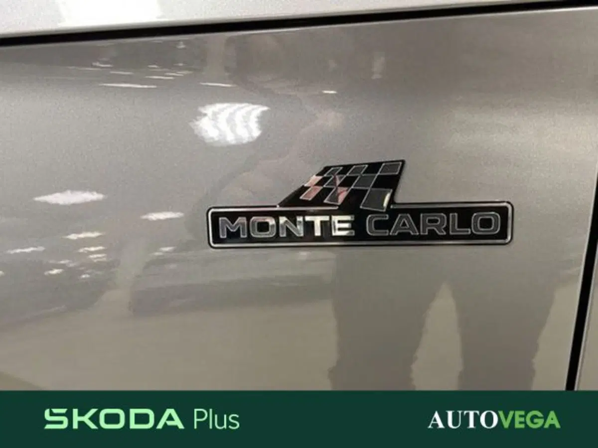Skoda Kamiq nuova a Vicenza (17)