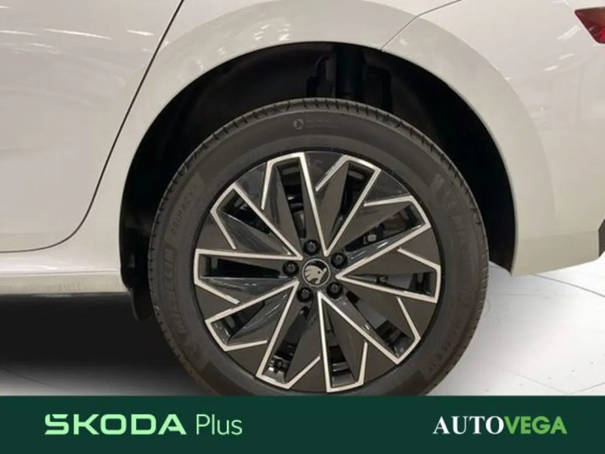 Skoda Kamiq nuova a Vicenza (17)