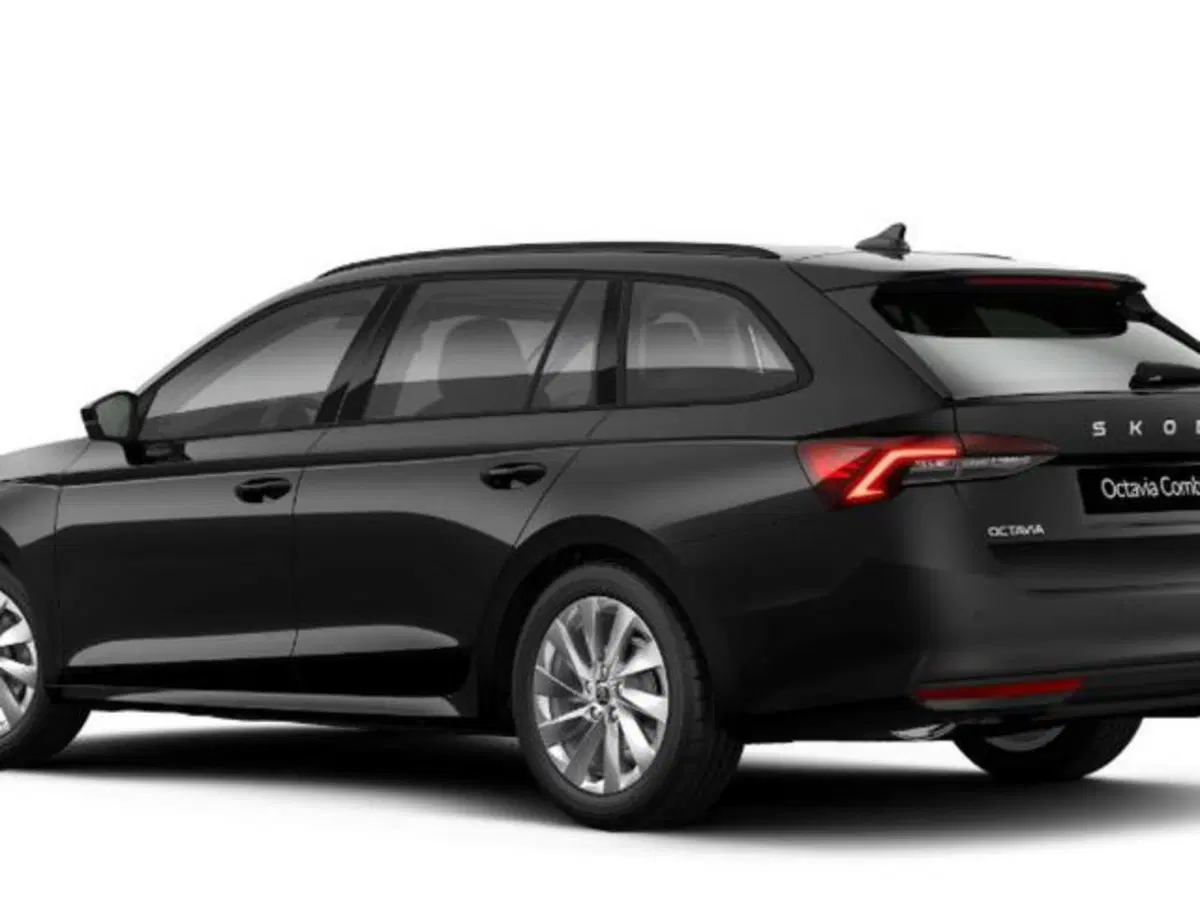 Skoda Octavia Station Wagon nuova a Vicenza (2)