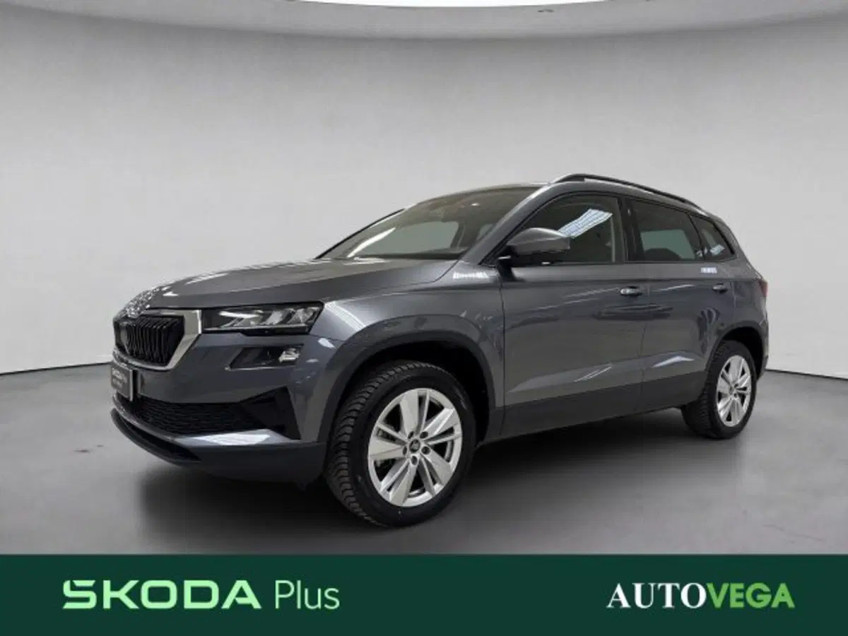 Skoda Karoq usata a Vicenza