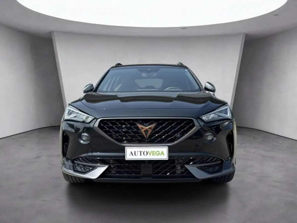 Cupra Formentor usata a Vicenza (2)