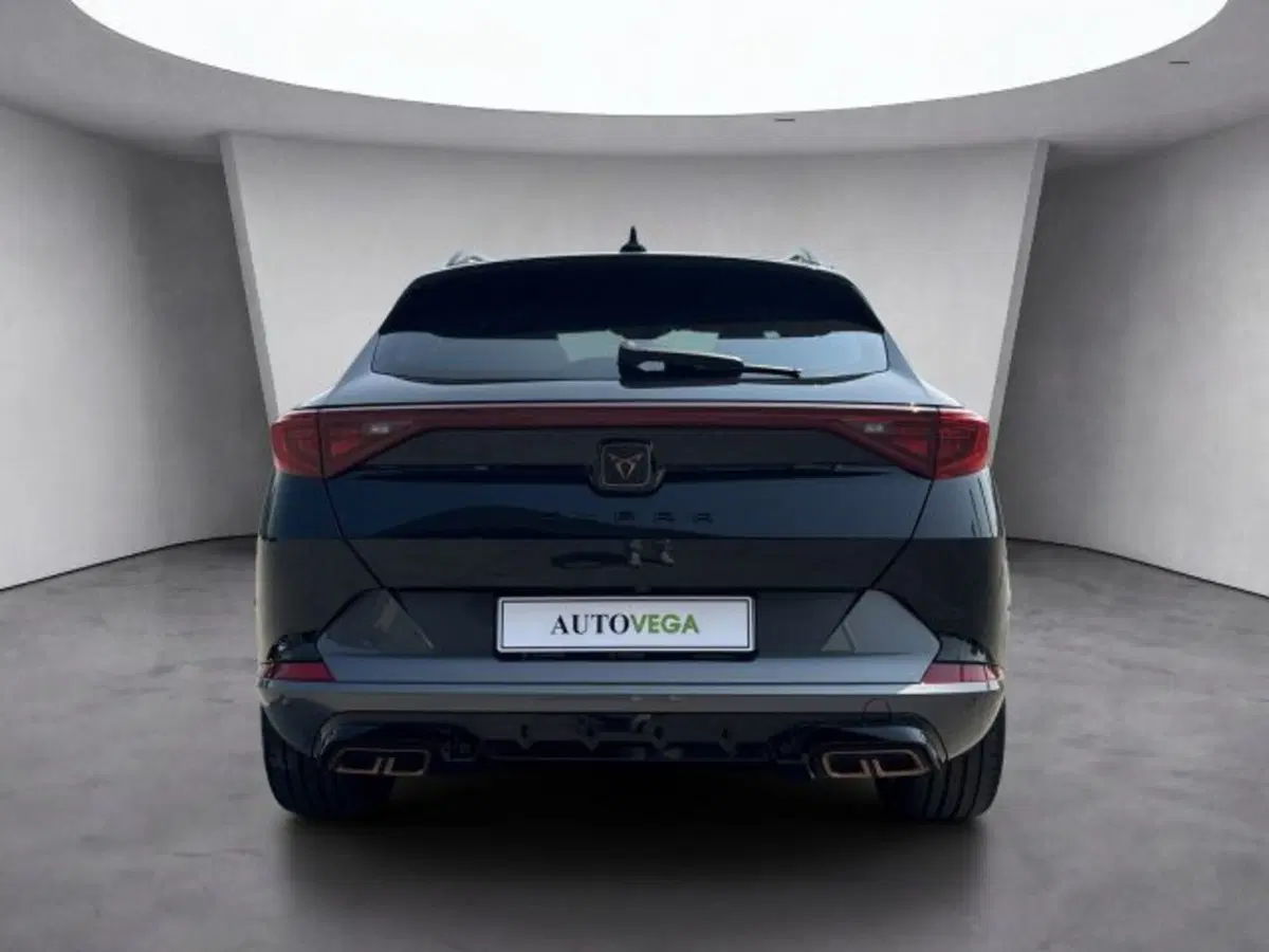 Cupra Formentor usata a Vicenza (5)