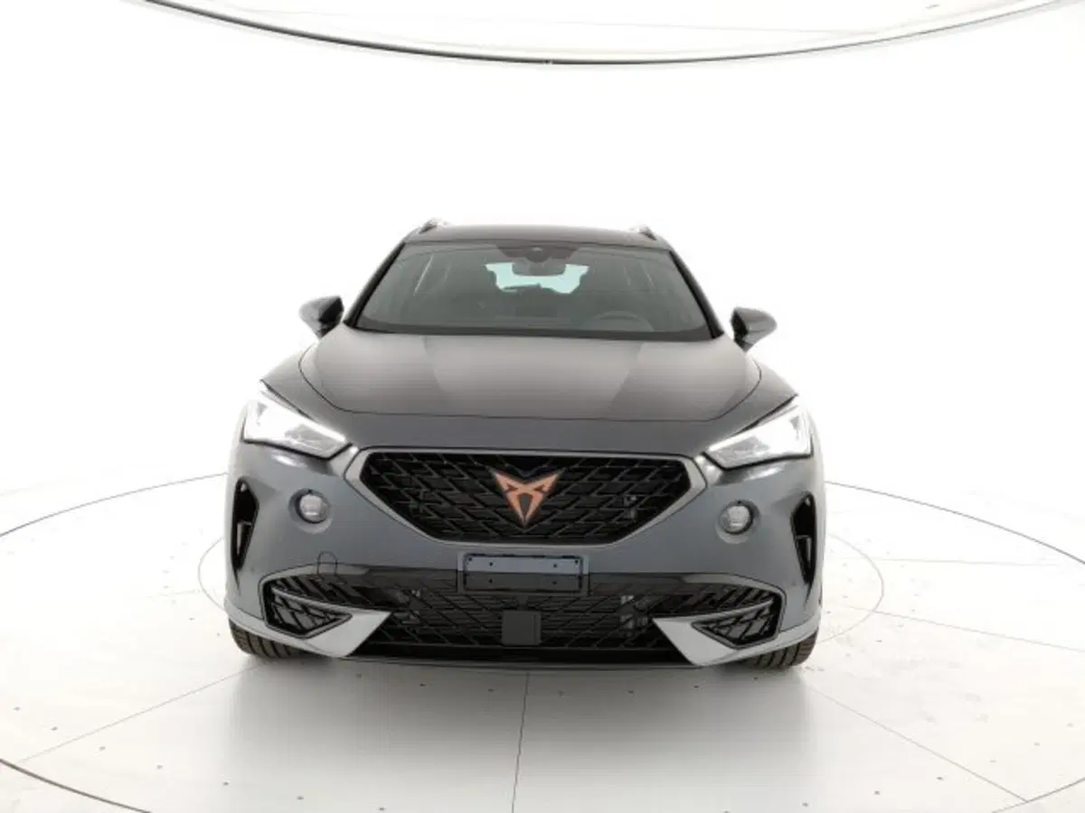 Cupra Formentor usata a Vicenza (7)