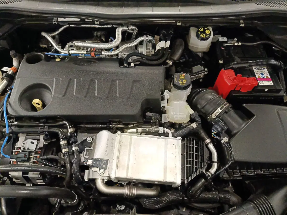 Ford Kuga usata a Ascoli Piceno (11)