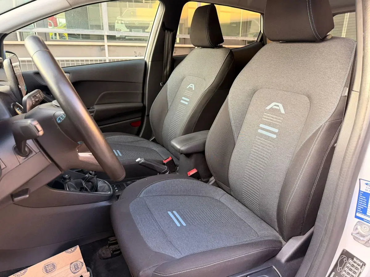 Ford Fiesta usata a Ascoli Piceno (10)