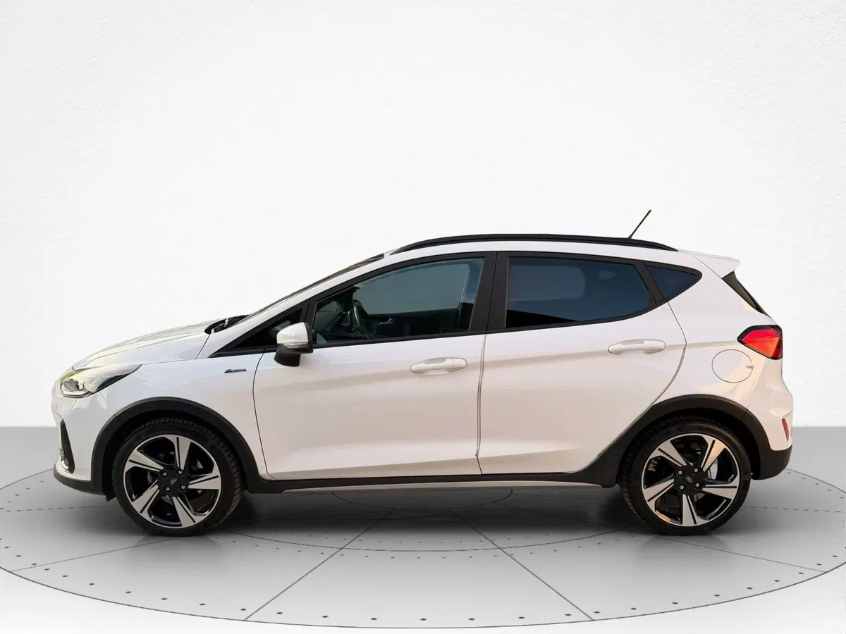 Ford Fiesta usata a Ascoli Piceno (2)