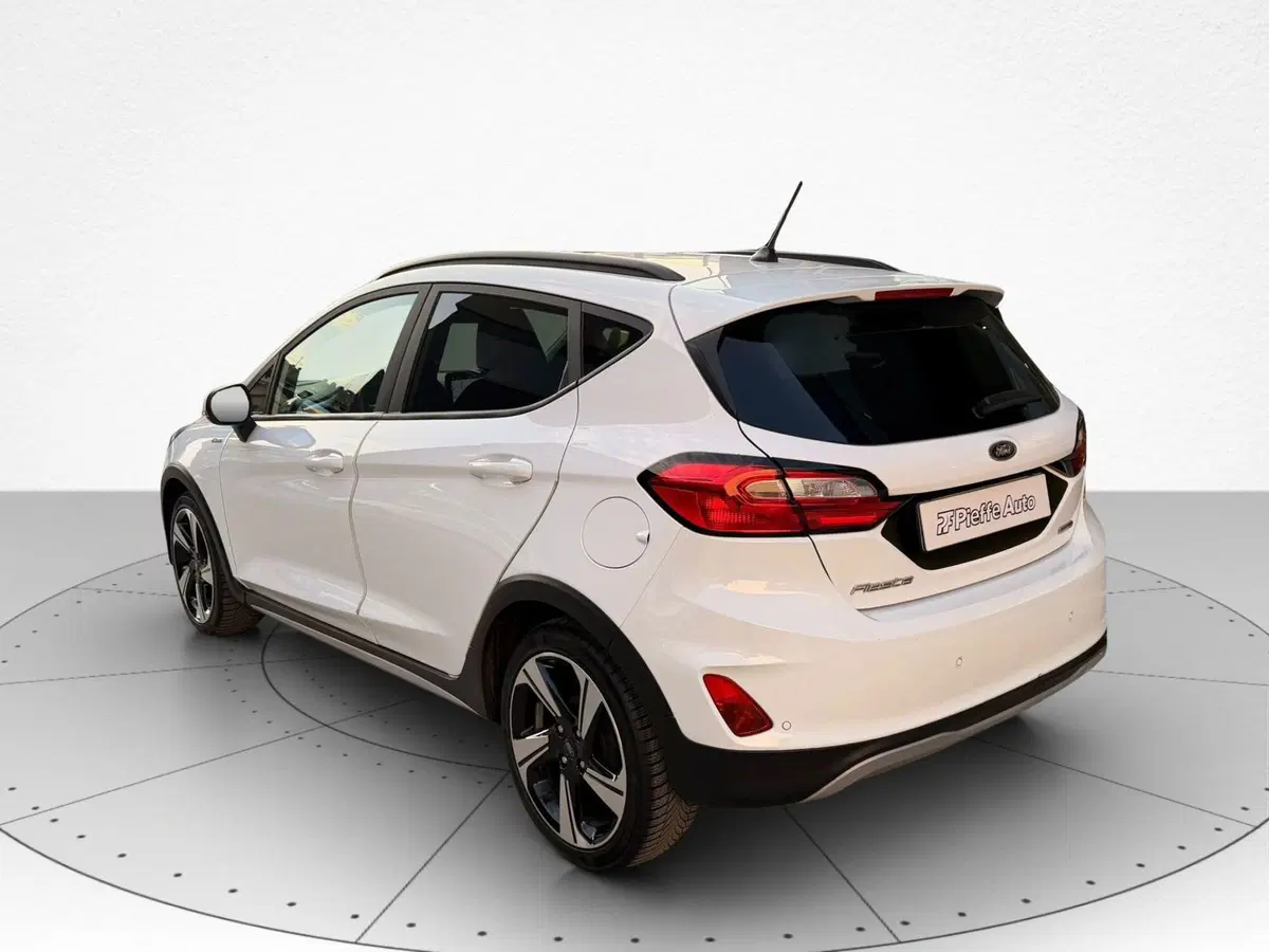 Ford Fiesta usata a Ascoli Piceno (3)