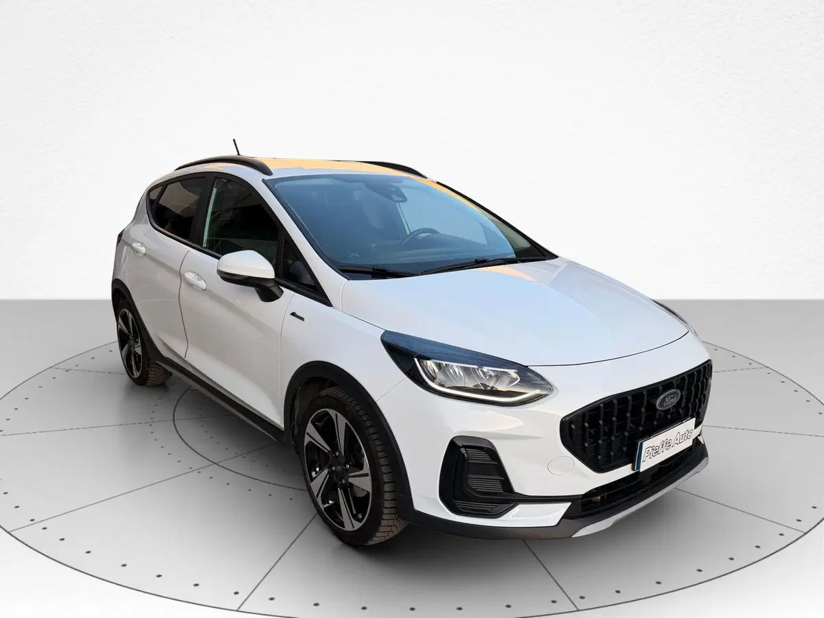 Ford Fiesta usata a Ascoli Piceno (5)