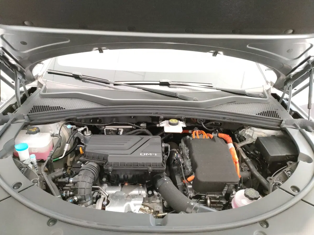 Byd Seal U DM-i usata a Ascoli Piceno (10)
