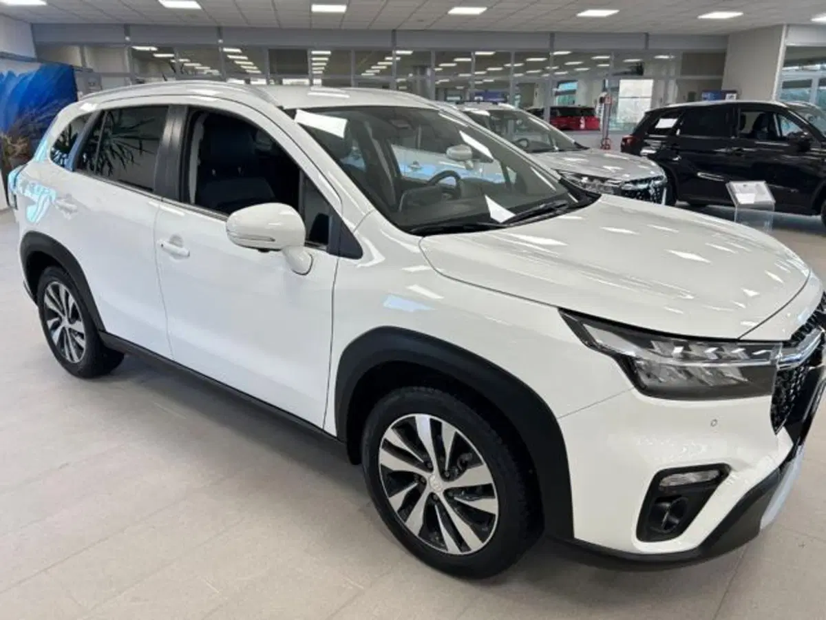 Suzuki S-Cross usata a Campobasso (14)