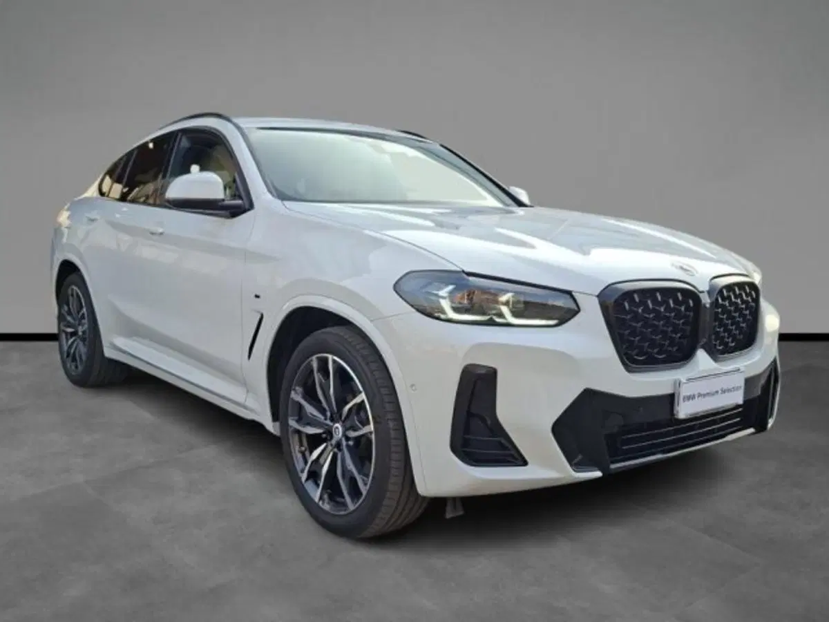 BMW X4 usata a Verona (16)