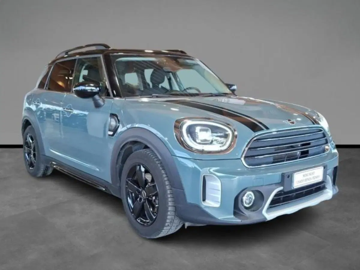 MINI Mini Countryman usata a Verona (15)