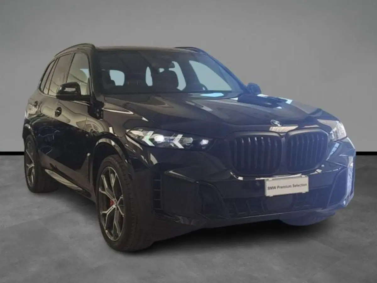 BMW X5 usata a Verona (16)