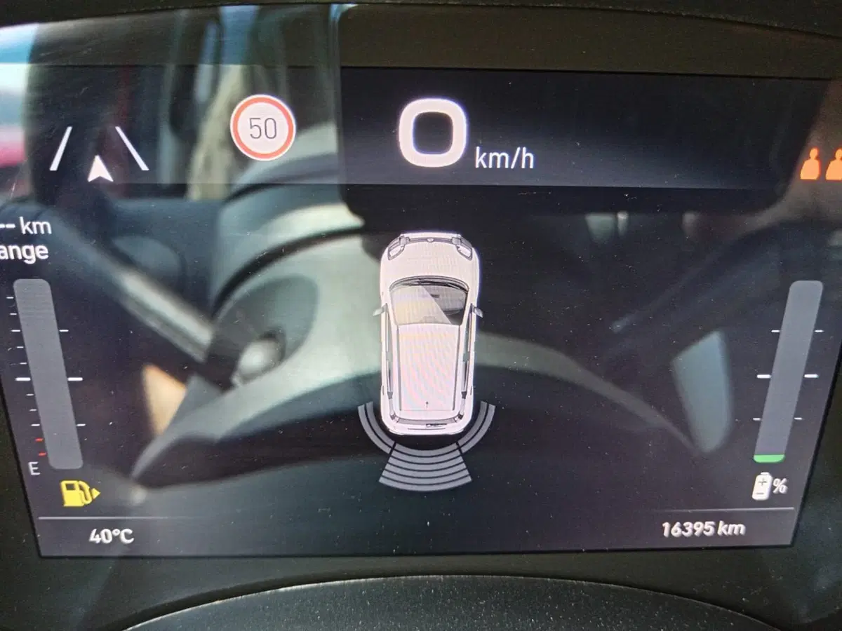 Fiat Panda Cross usata a Alessandria (14)