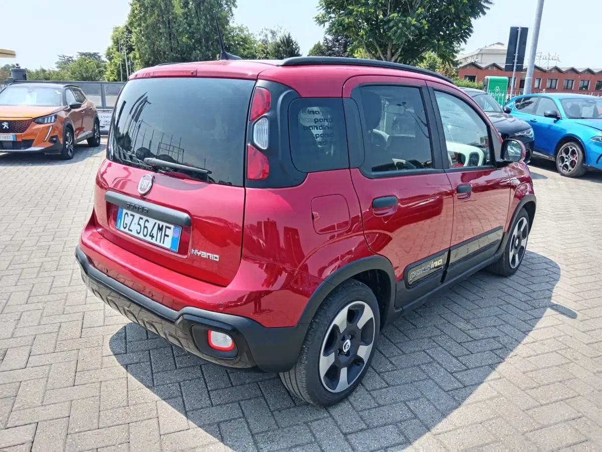 Fiat Panda Cross usata a Alessandria (5)