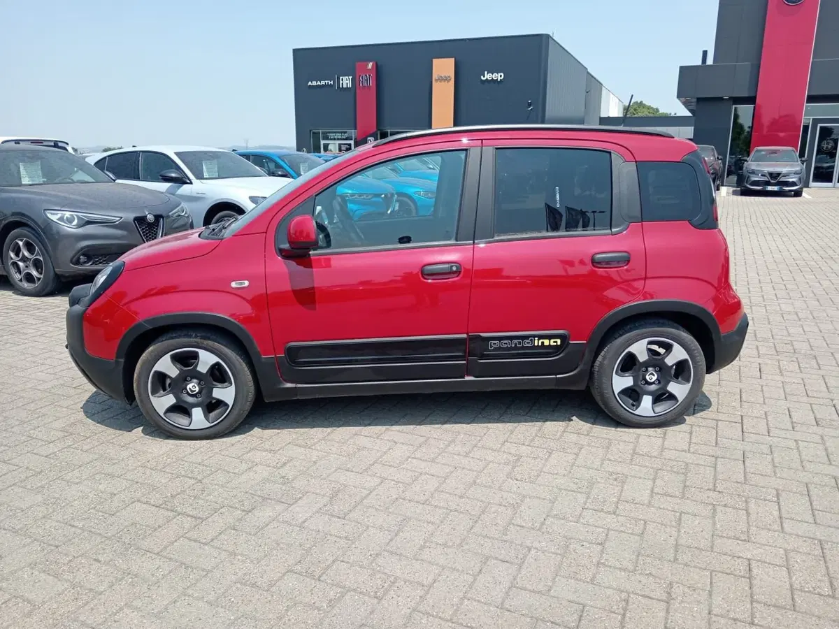 Fiat Panda Cross usata a Alessandria (9)
