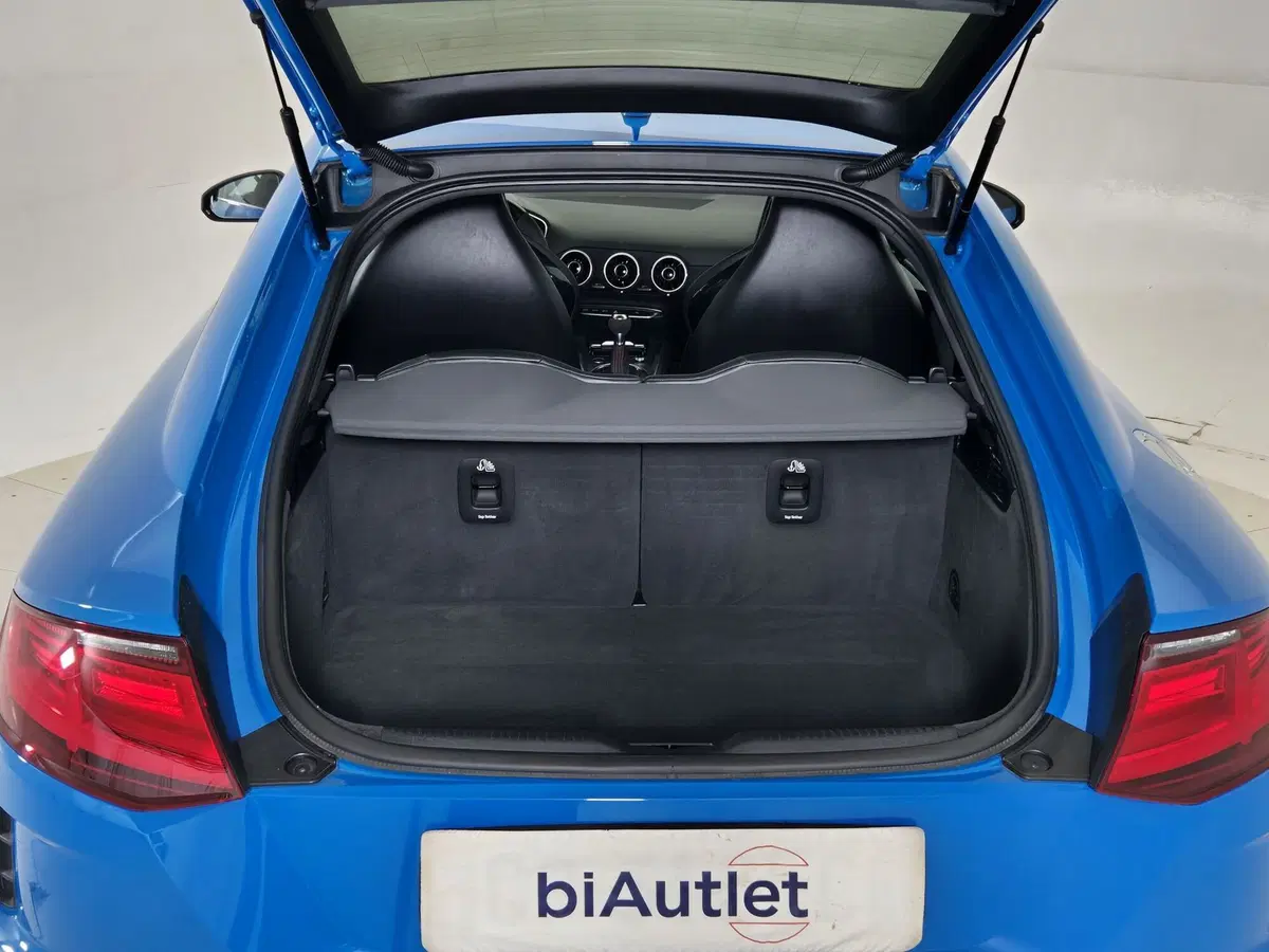 Audi TT Coupé usata a Torino (13)