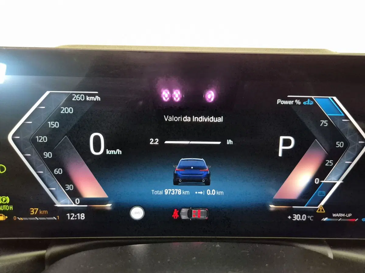BMW Serie 3 Touring usata a Torino (16)