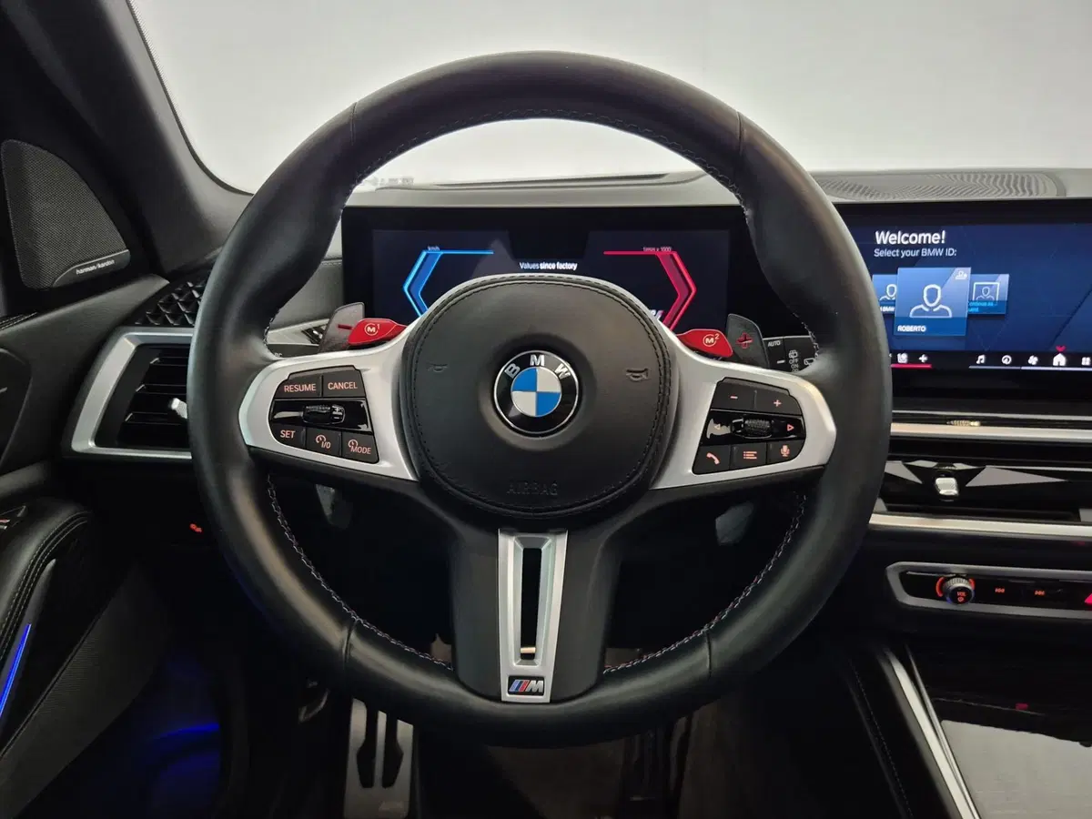 BMW X5 usata a Torino (10)