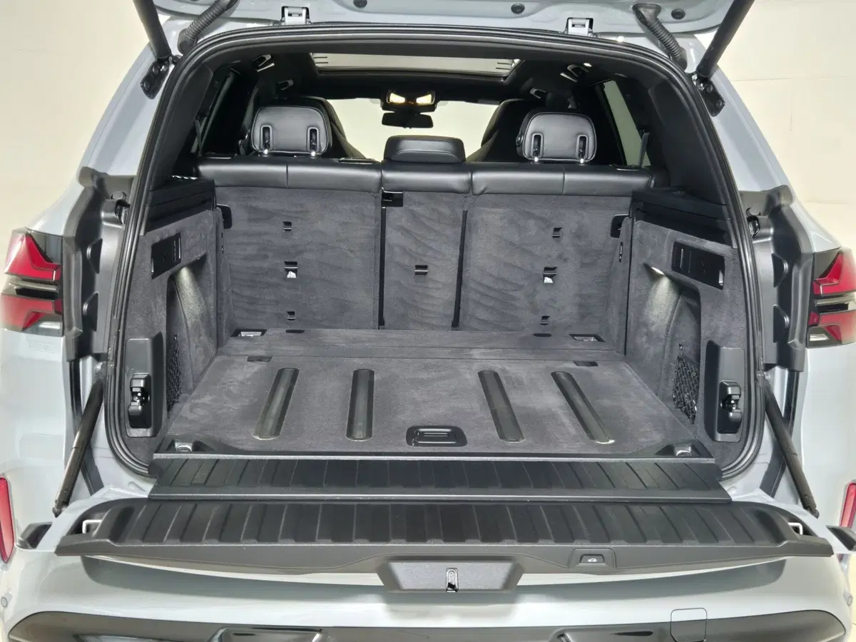 BMW X5 usata a Torino (14)