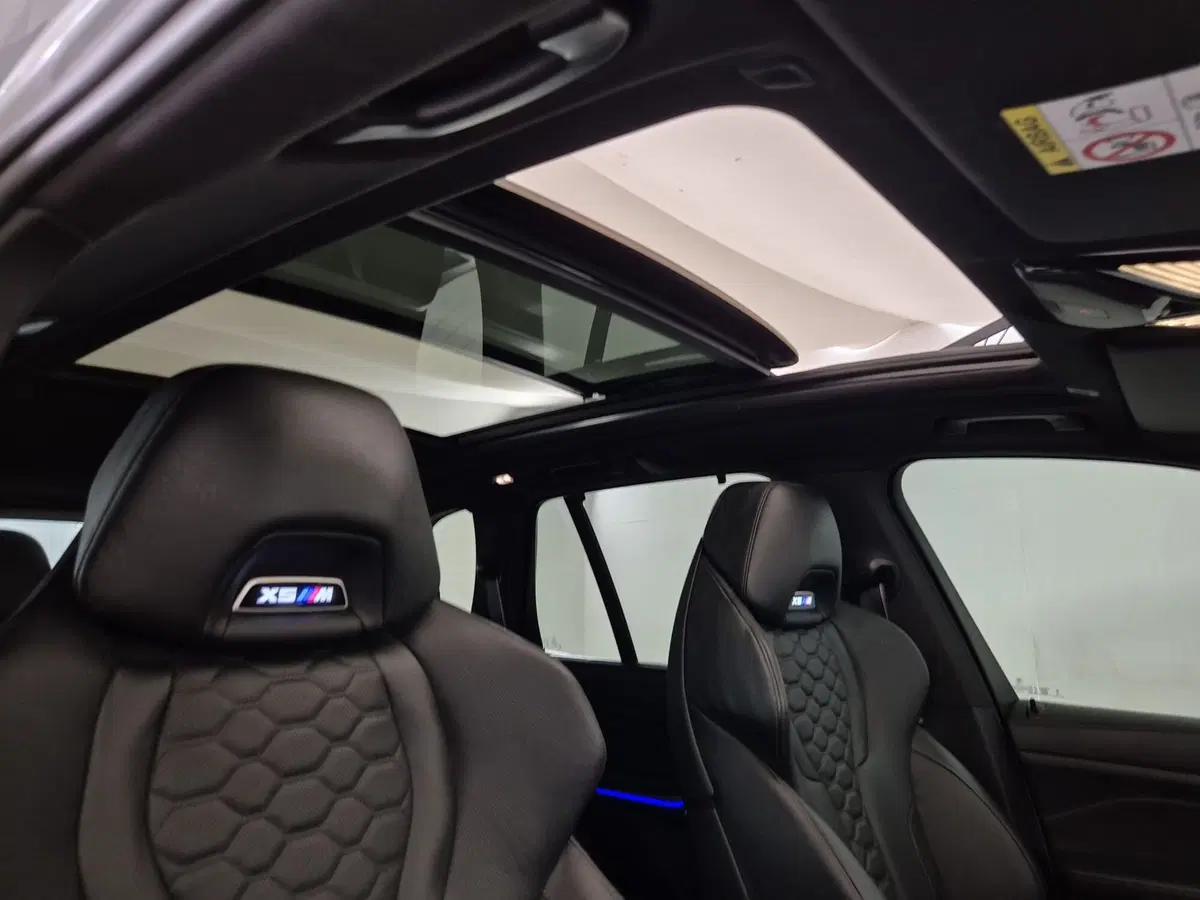BMW X5 usata a Torino (18)
