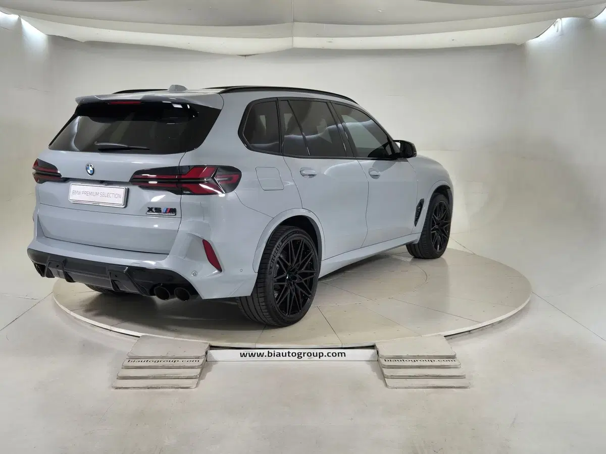 BMW X5 usata a Torino (5)