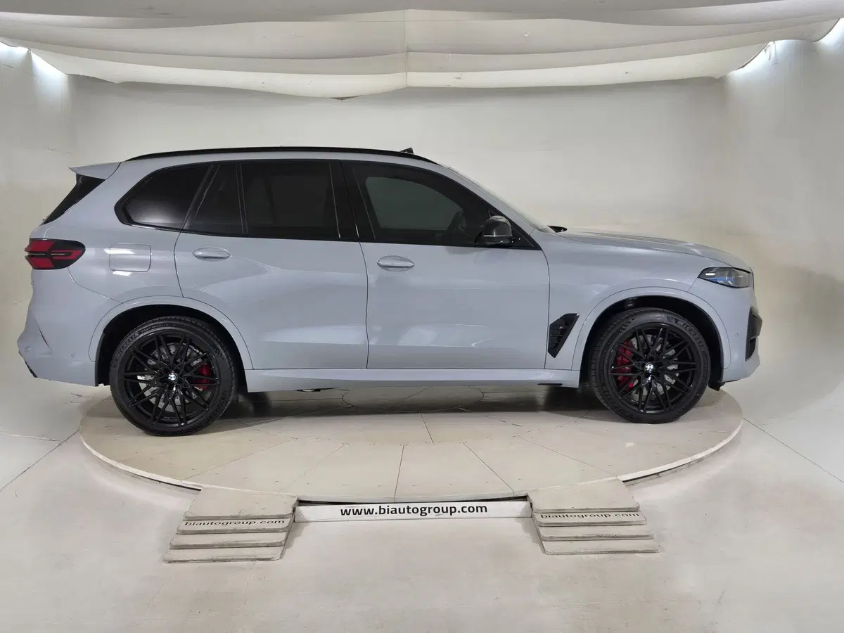 BMW X5 usata a Torino (6)