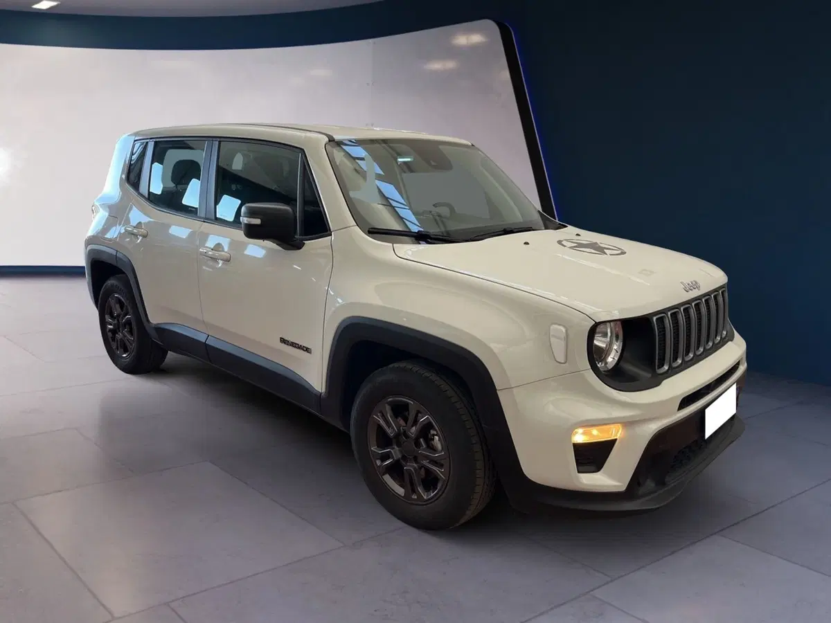 Jeep Renegade usata a Torino (3)