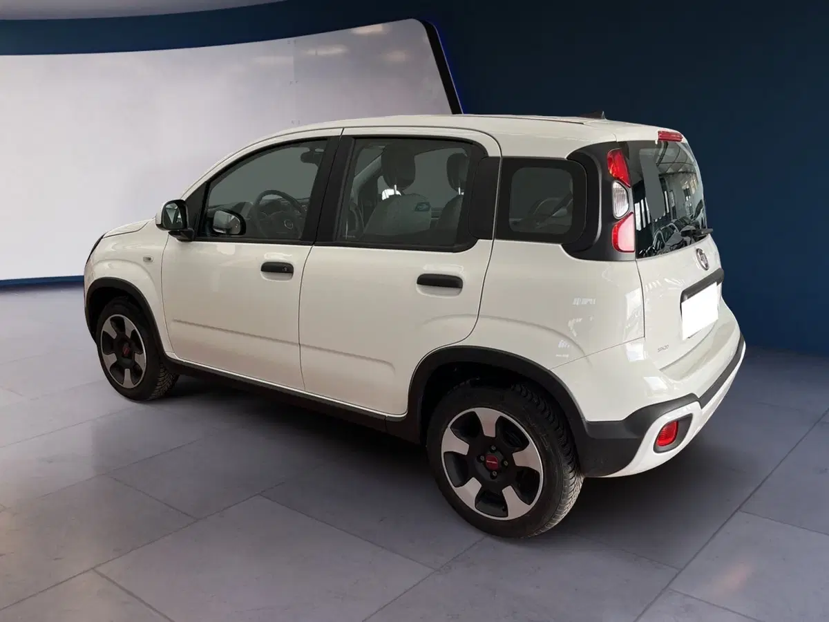 Fiat Panda usata a Torino (4)